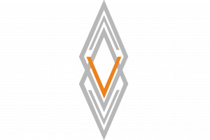 elevate_logoorange